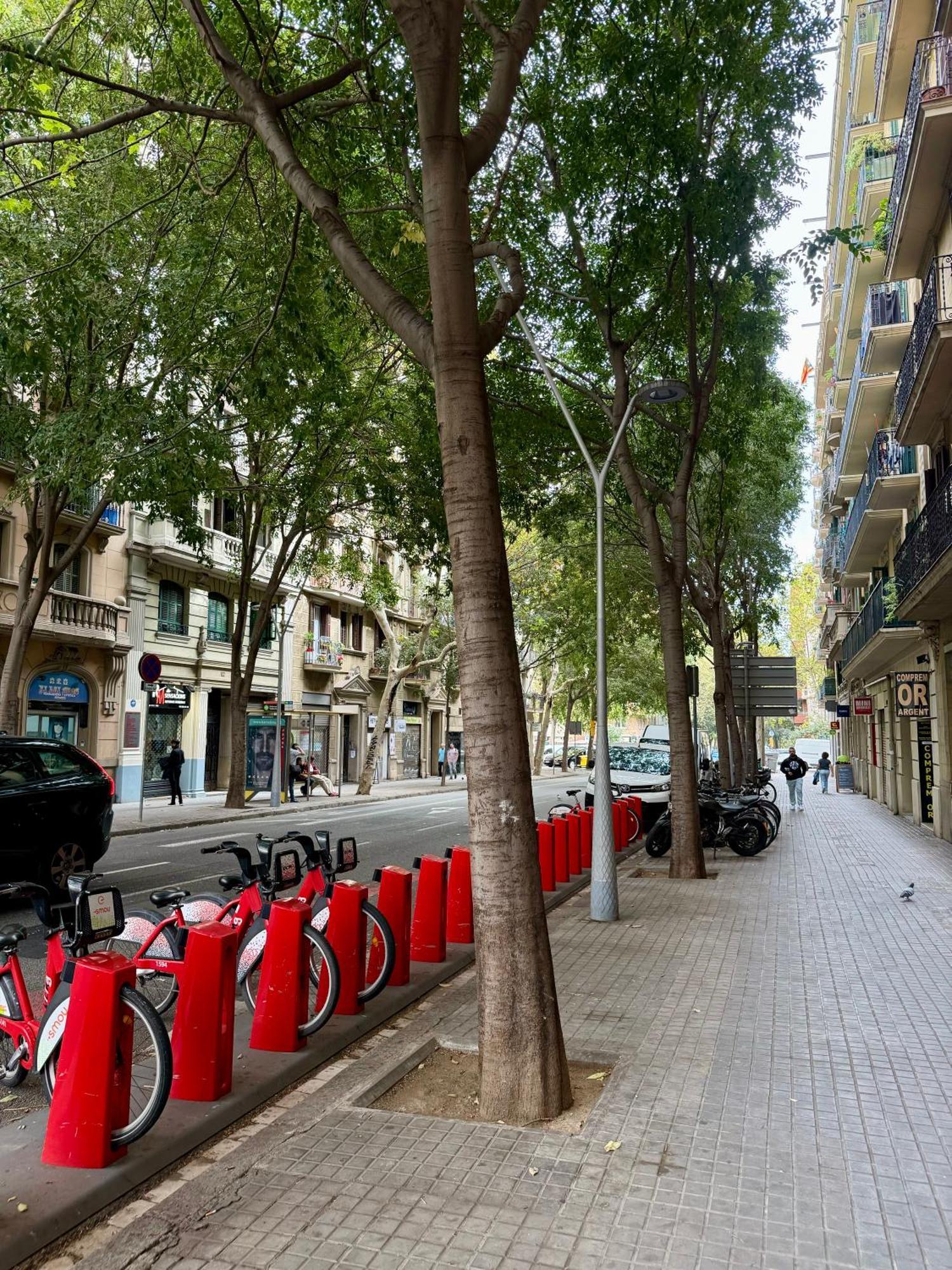 Newly Renovated Stylish Eixample - Great Location 巴塞罗那 外观 照片